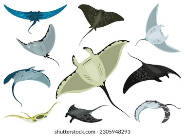 Stingray fishes. Sea animals floating underwater. Set of cute cartoon stingrays. Adorable sea creatures isolated on white background. Wildlife, nature concept. Vector illustration of manta ray