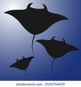 Ícone de arraia. Manta ray silhueta preta isolada sobre fundo azul. vista subaquática Stingray ou Manta ray silhueta preta 