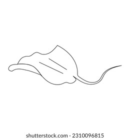 Vektorgrafik-Vektorgrafik-Design