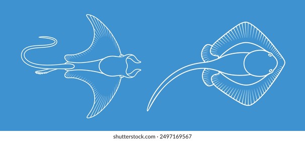 Logotipo de Stingray. Rayas aisladas sobre fondo blanco