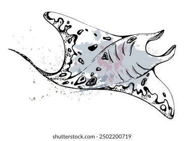 Stingray manta ray fish splash stain Marine life, ocean underwater creature animal, Ink sketch hand drawn. Single object illustration stylized, isolated on white. Zoo shop, aquarium, cosmetics, resort