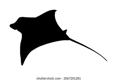 Stingray or manta ray symbol. Devil fish vector silhouette illustration isolated on white background. Devilfish  tattoo sign.