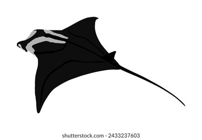 Stingray or manta ray symbol. Devil fish vector illustration isolated on white background. Devilfish  tattoo sign.