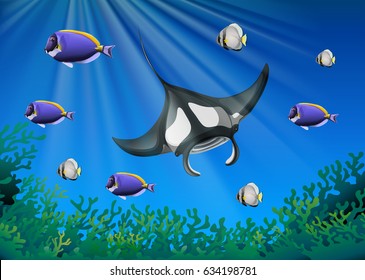 Stingray and many fish under the ocean illustration