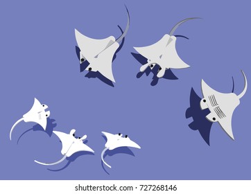 stingray in pale blue sea