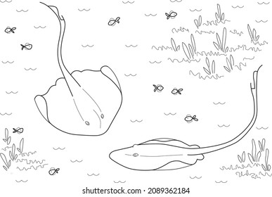 stingray ray underwater garden marine animal fish seaweed coral reef sand seafood coloring page sheet book for children kids