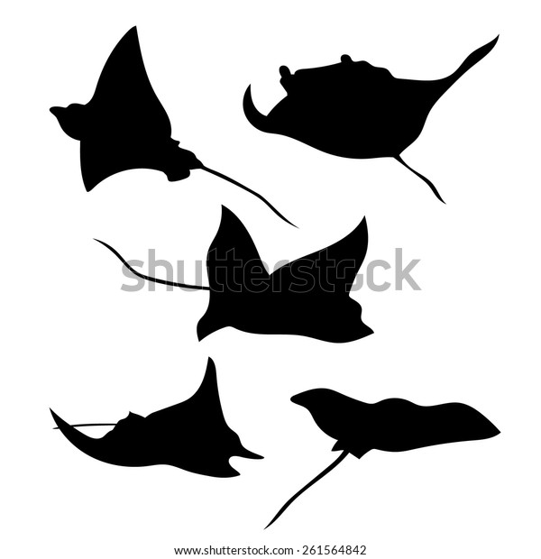 Stingray Set Silhouettes Vector Stock Vector (Royalty Free) 261564842 ...