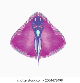 stingray skeleton picture - informal print for clothes