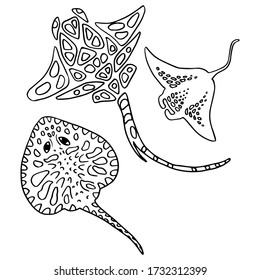 Stingray sticker set on white isolated backdrop. Tribal fish for invitation and gift card, tattoo parlor or pet shop logo, bath tile. Phone case or cloth print. Doodle style stock vector illustration