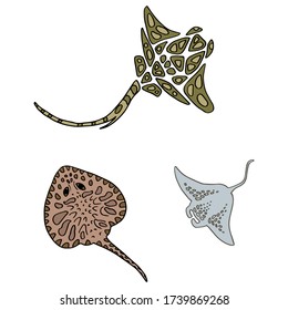 Stingray sticker set on white isolated backdrop. Tribal fish for invitation or gift card, tattoo parlor or diving club logo, bath tile. Phone case, cloth print. Doodle style stock vector illustration