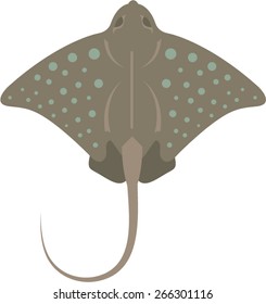 Stingray Vector