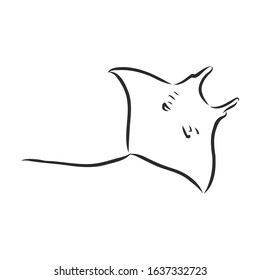 Stingray, vector sketch illustration, icon