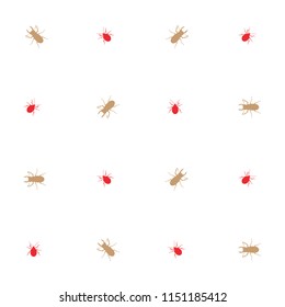 stink, bug, beet, vector