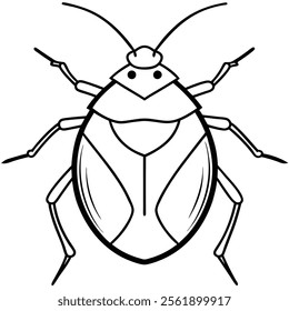 stink bug insect flat vector illustration on white background