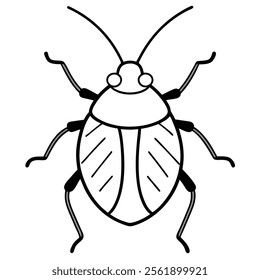 stink bug insect flat vector illustration on white background