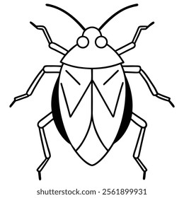 stink bug insect flat vector illustration on white background