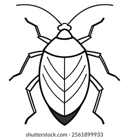 stink bug insect flat vector illustration on white background