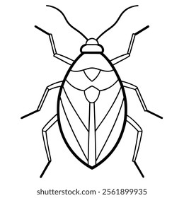 stink bug insect flat vector illustration on white background