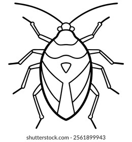 stink bug insect flat vector illustration on white background