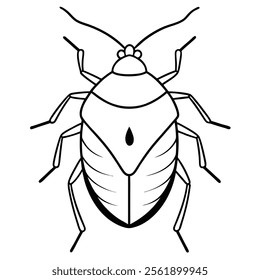 stink bug insect flat vector illustration on white background