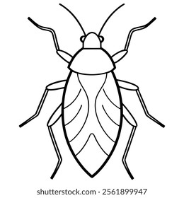 stink bug insect flat vector illustration on white background