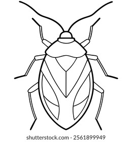 stink bug insect flat vector illustration on white background