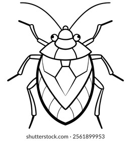 stink bug insect flat vector illustration on white background