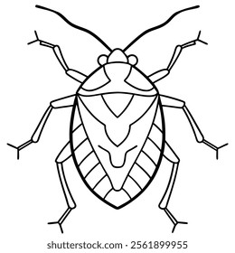 stink bug insect flat vector illustration on white background