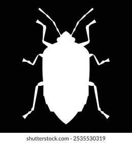 stink bug, pest, insect, vector illustration 