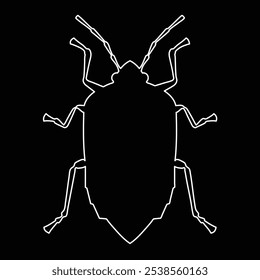 stink bug, pest, insect, vector illustration 