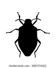 Stink bug vector silhouette illustration isolated on white background. Shield bug beetle symbol. Stinkbug shape.