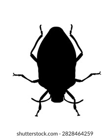 Stink bug vector silhouette illustration isolated on white background. Shield bug beetle symbol. Stinkbug shape.