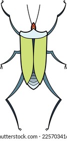 Stinkbug icon. Green beetle. Wild decorative animal