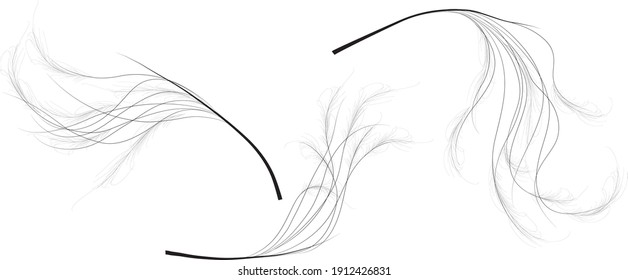 Stipa, feather grass, lessingiana mat grass, Bouquet element, decorative vector illustration set. Black on white silhouette isolated. Floral composition part. Feather texture