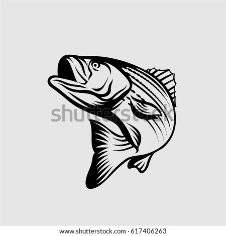 Stiped Bass Vector Illustration Black and White