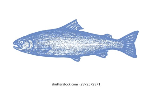stipple drawing of salmon fish isolated