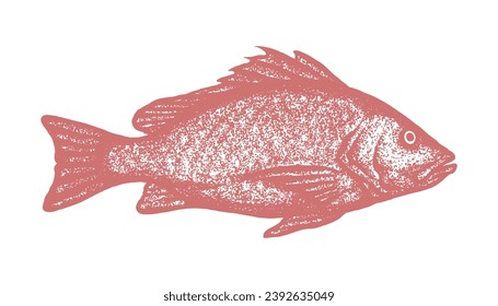 stipple drawing of snapper fish