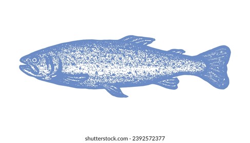dibujo rígido de peces de trucha aislados