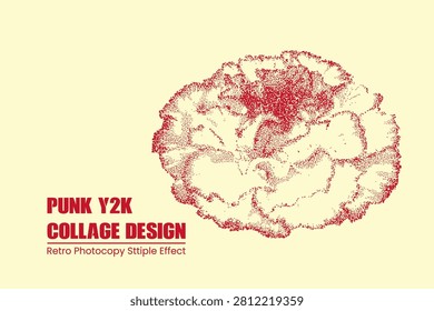 Stipple effect carnation flower