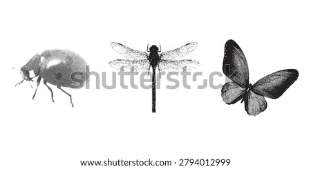 Stipple Insect Set with Ladybug, Dragonfly and Butterfly, Detailed Vintage Engraving Illustration Collection. Vector