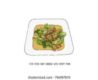 Stir Fried Baby Cabbage with Crispy Pork, thai food hand draw sketch vector.