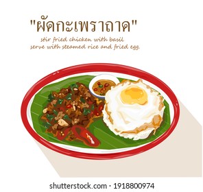 Stir-fried chicken with basil and chili served with steamed rice and a fried egg on the tray. Vector illustration EPS file.