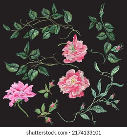 Stitch embroidery roses and leaves.  Nowaday vector set isolated elements on the black background.
