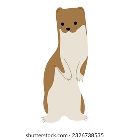 Stoats,ermine and weasels cute Single 13 on a white background, vector illustration. 