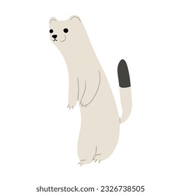 Stoats,ermine and weasels cute Single 17 on a white background, vector illustration. 