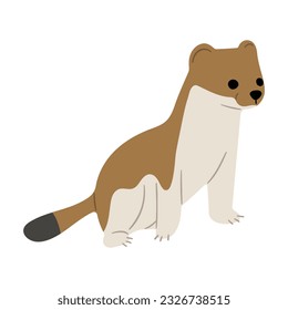 Stoats,ermine and weasels cute Single 19 on a white background, vector illustration. 