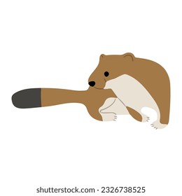 Stoats,ermine and weasels cute Single 21 on a white background, vector illustration. 