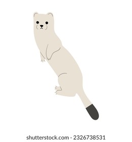 Stoats,ermine and weasels cute Single 23 on a white background, vector illustration. 