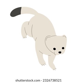 Stoats,ermine and weasels cute Single 24 on a white background, vector illustration. 