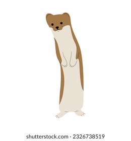 Stoats,ermine and weasels cute Single 26 on a white background, vector illustration. 